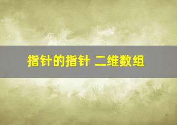 指针的指针 二维数组